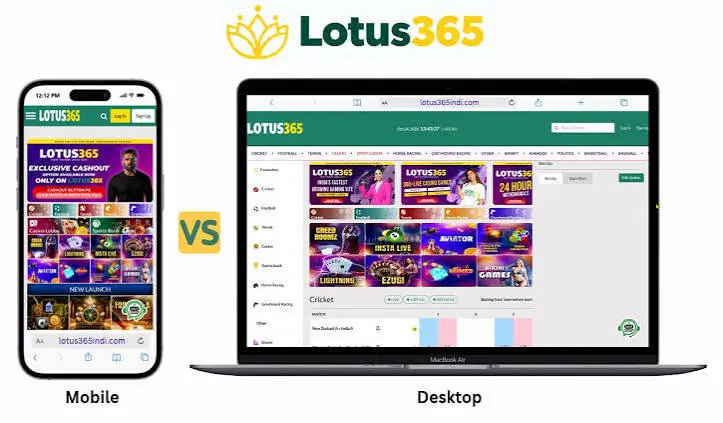 Lotus365 and the Impact of Rain on Cricket Betting Outcomes